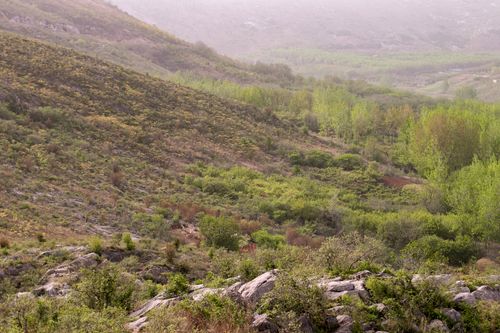 Free mountain Stock Photo