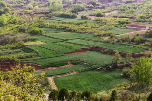Free field Stock Photo