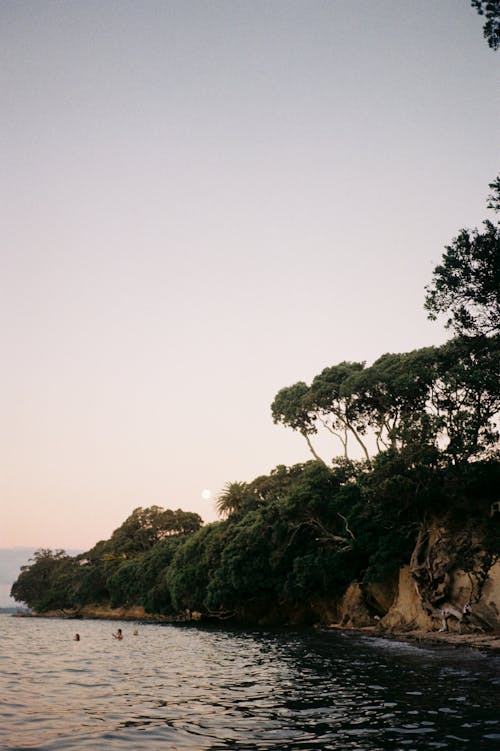 ağaçlar, çalılar, deniz içeren Ücretsiz stok fotoğraf