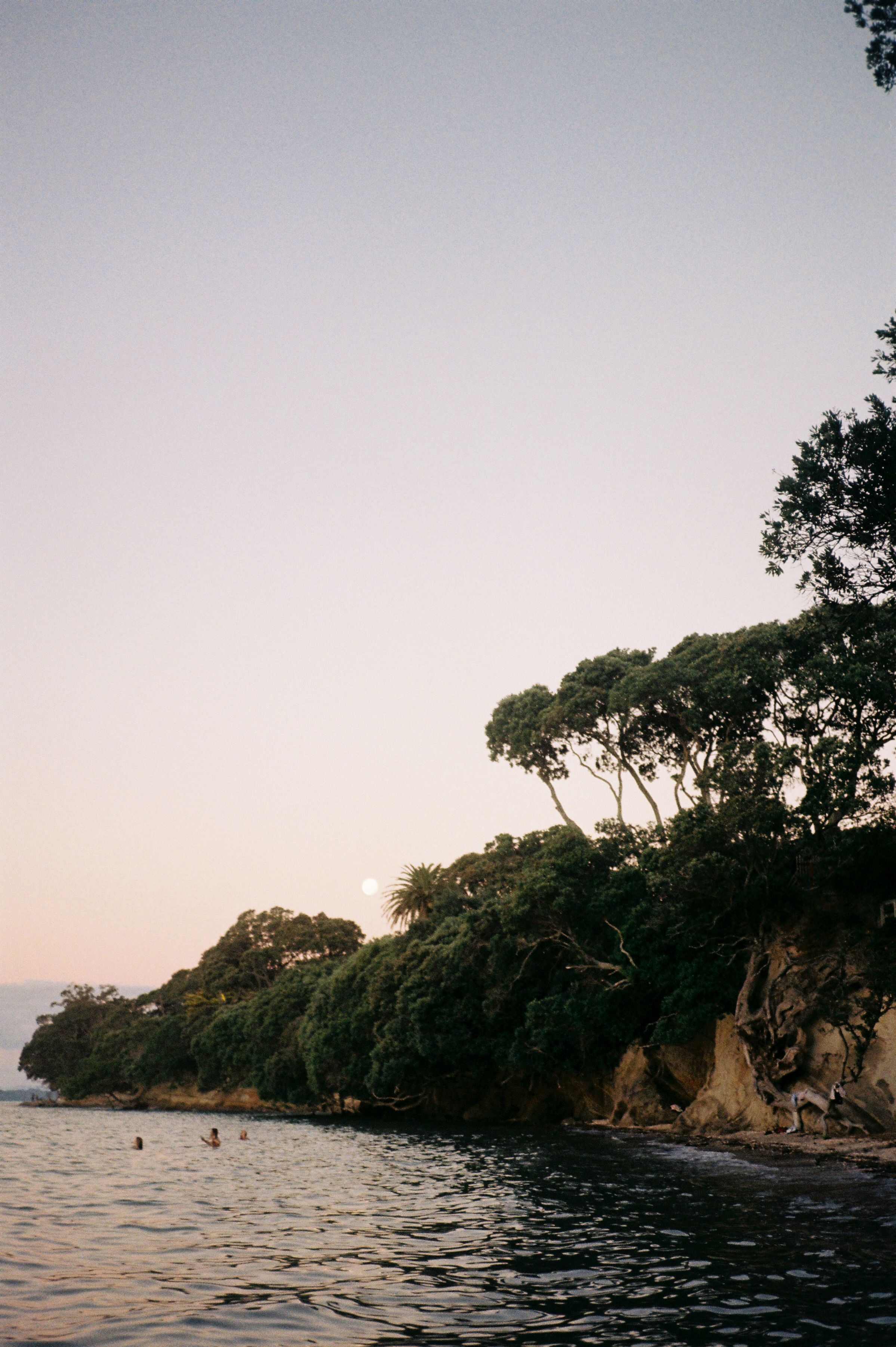 Cliff Overgrown with Greenery by the Sea · Free Stock Photo