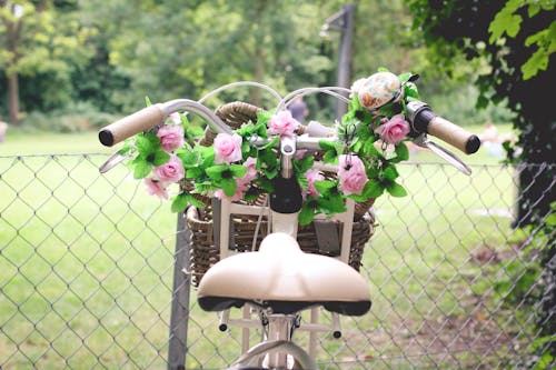 Free Pink Rose Bouquet in Brown Bicycle Basket Stock Photo