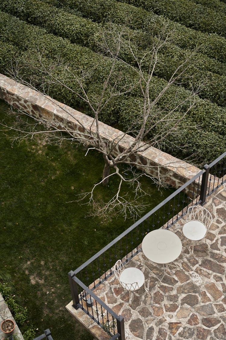 Terrace Overlooking Yard