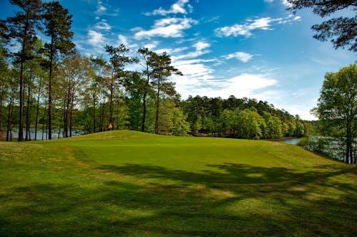 Kostnadsfri bild av blå himmel, golf, golfbana