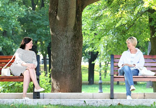 2 Woman Sitting in the Different Bench Chair Near Tree in the Park during Daytime