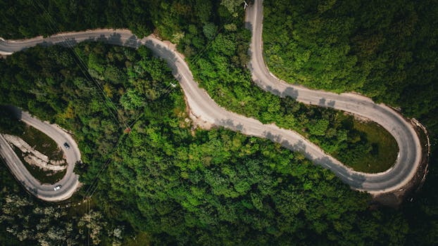 A stunning aerial shot of a winding road through lush green forest during summer.