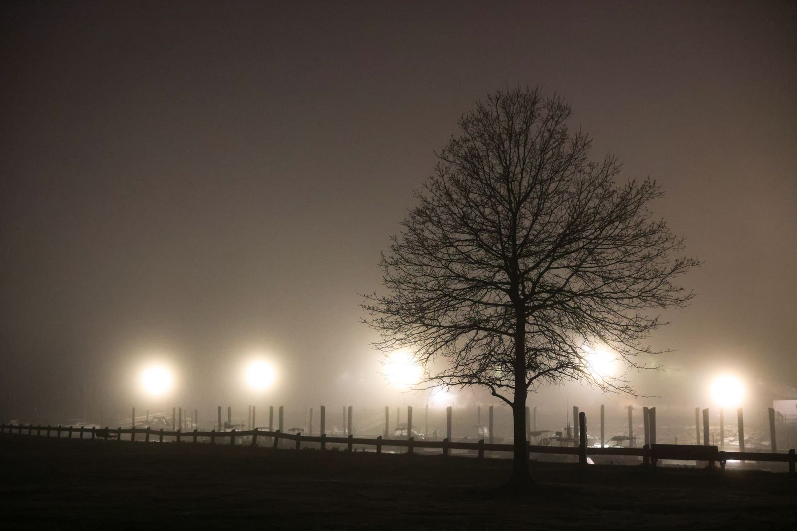 Featured board still: foggy harbour at night with dock lights — David Kanigan on Pexels