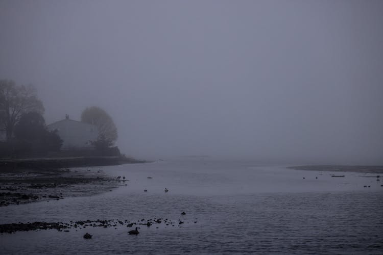 House By The Sea On A Foggy Day