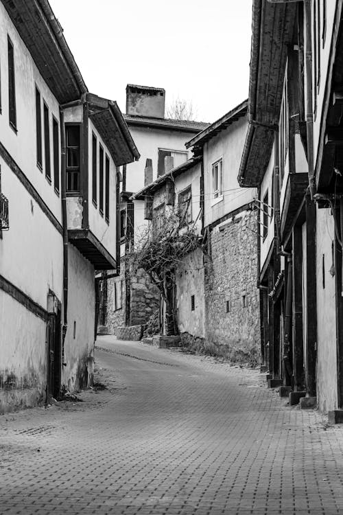 Street in Town in Black and White
