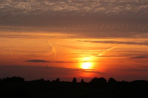 Free A beautiful sunset scene featuring silhouetted trees against a vibrant orange and pink sky. Stock Photo