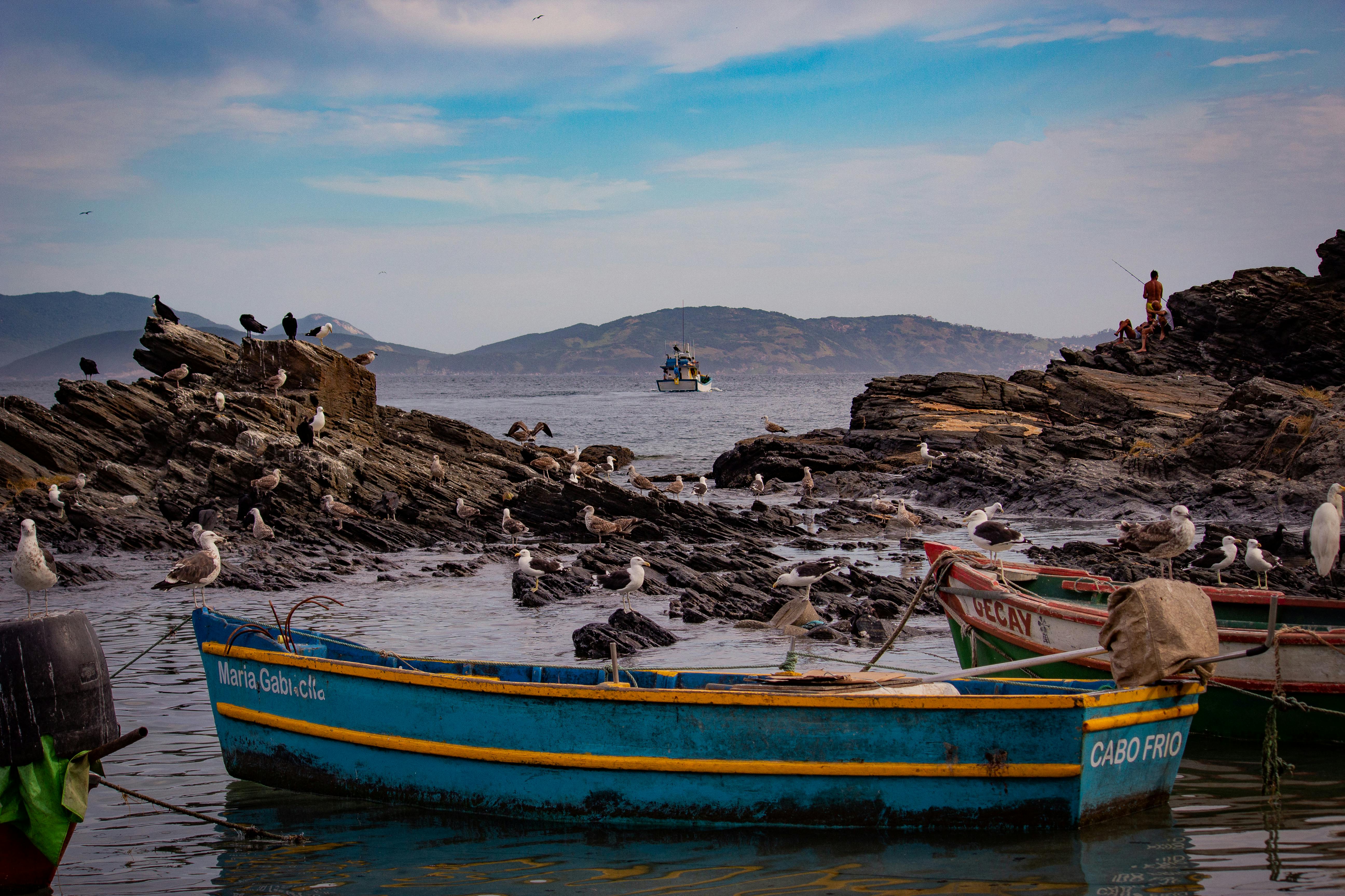 Scenic view of seagulls and fishing boats on a rocky coastline, ideal for recreation themes.