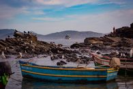 Scenic view of seagulls and fishing boats on a rocky coastline, ideal for recreation themes.