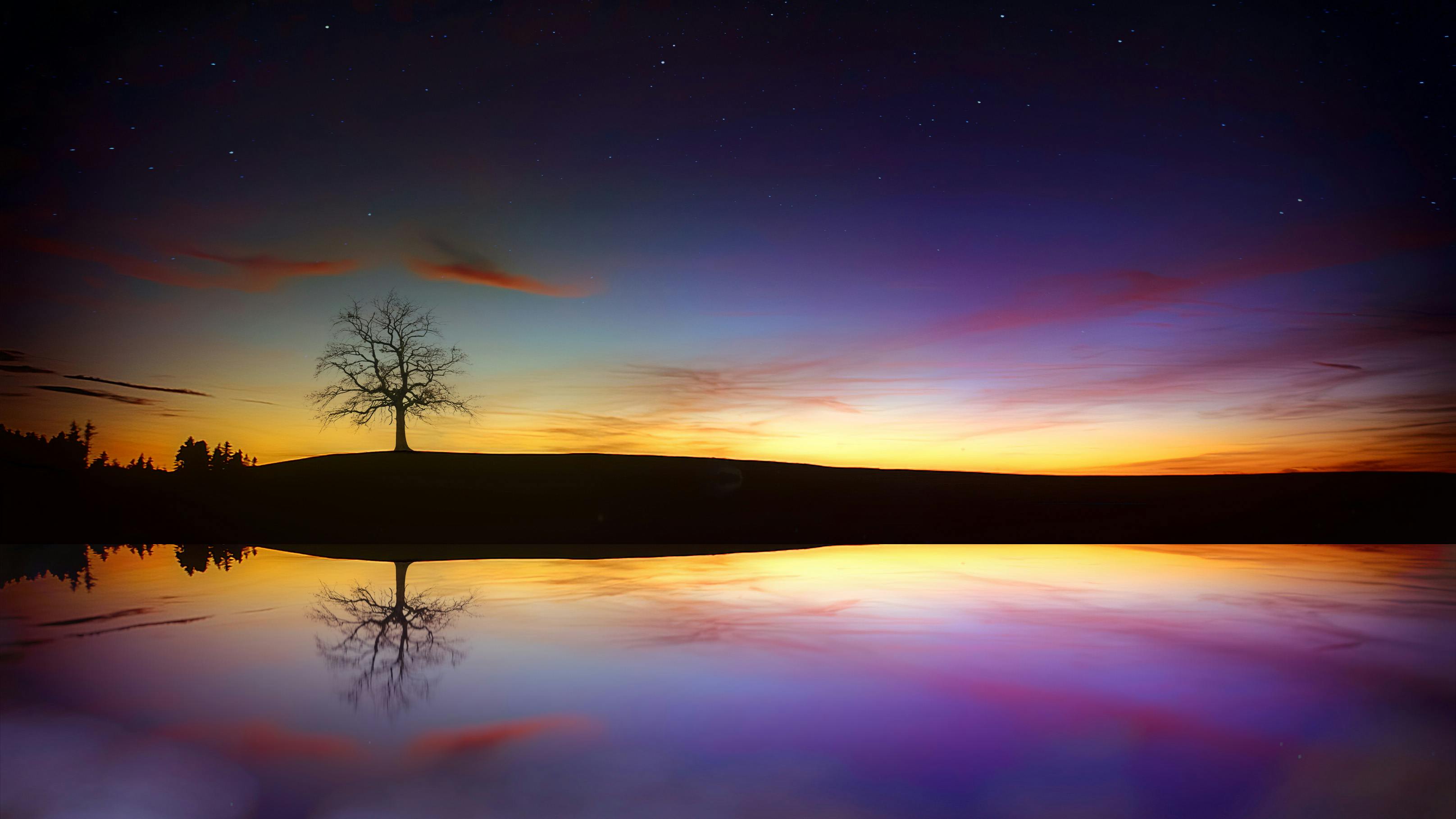 Silhouette of Tree Near Body of Water during Golden Hour · Free Stock Photo