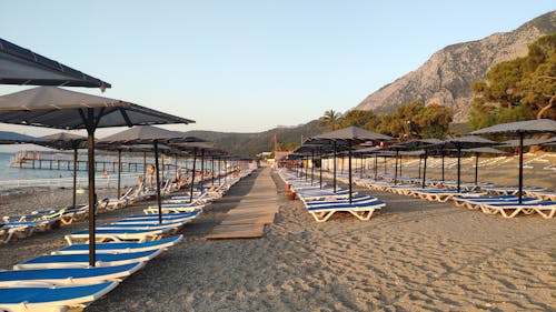 Tourists on Beach Loungers at Dawn