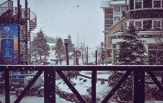 迷人的冬季城市景观中，街道、建筑物和树木都覆盖着皑皑白雪