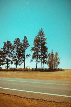 Scenic view of trees under a clear blue sky in Alto Paraíso de Goiás, Brazil.