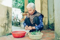 阳光明媚的日子里，一位年长的妇女坐在户外，用篮子加工蔬菜