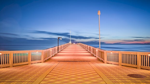 Brown Wooden Sea Duck