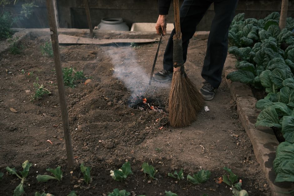 How to restart your home garden without the frustration