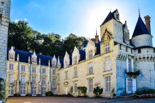 DUsse Castle in France