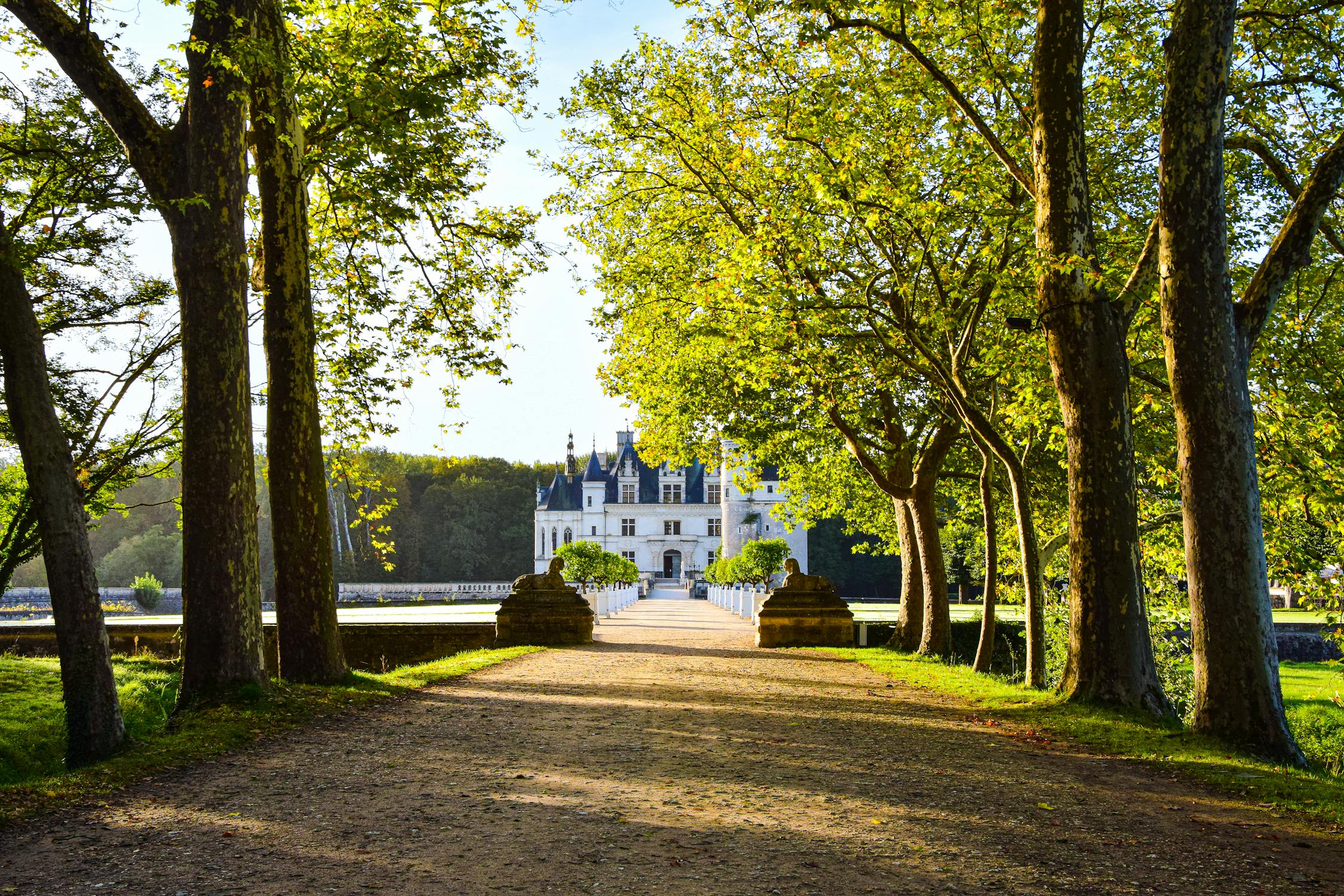 A castle in the middle of a forest in Loire Valley, one of the things to see when taking bike tours in France