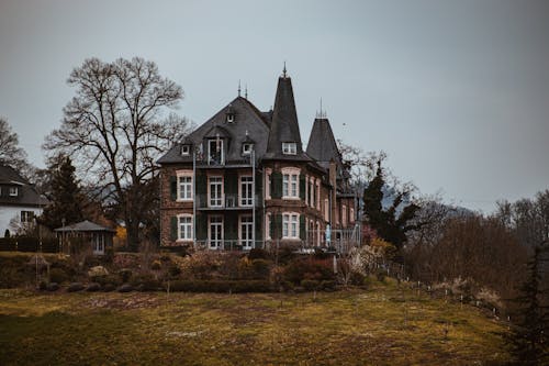 Fotos de stock gratuitas de Alemania, arboles, campo