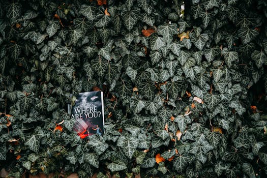 一本名为《你在哪里？》的小说，被放置在户外茂密的常春藤叶之间，营造出一种神秘感
