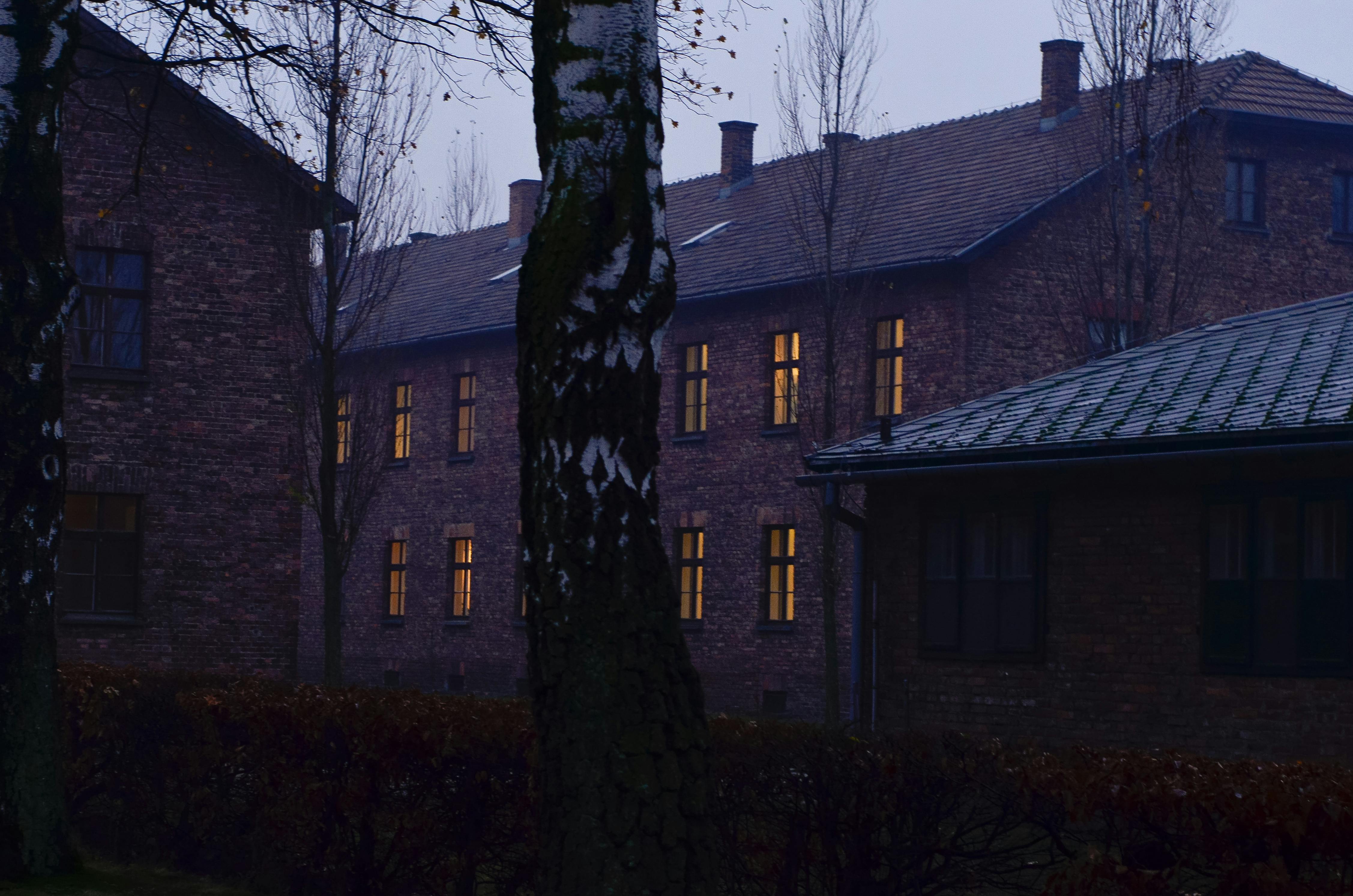 Dark and moody view of Auschwitz buildings and leafless trees, reflecting somber history.