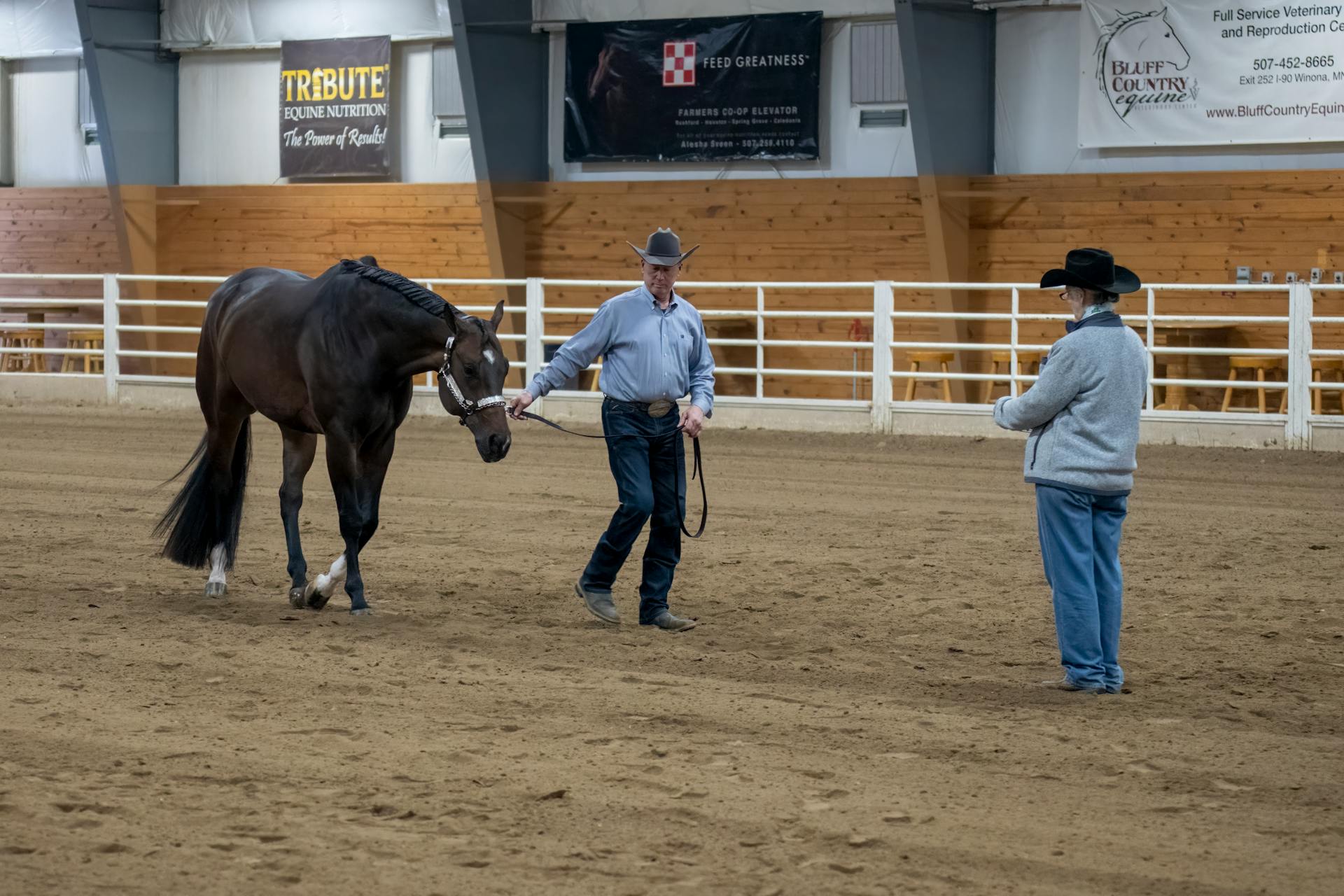 Men with Horse on Show