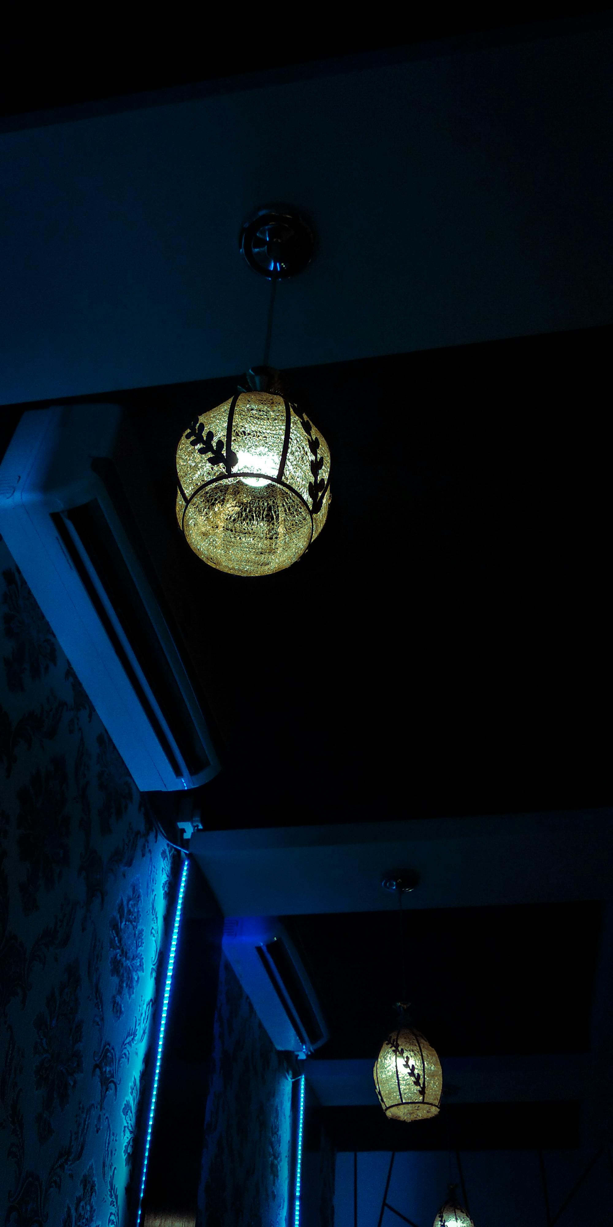 A dog playing with a homemade rope toy