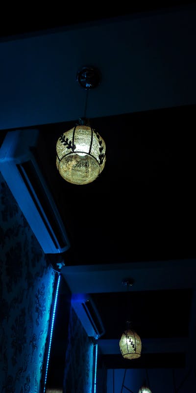 A dog playing with a homemade rope toy