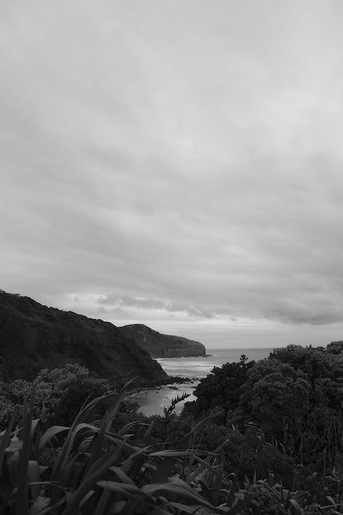 Imagine de stoc gratuită din alb-negru, coastă, fotografiere verticală