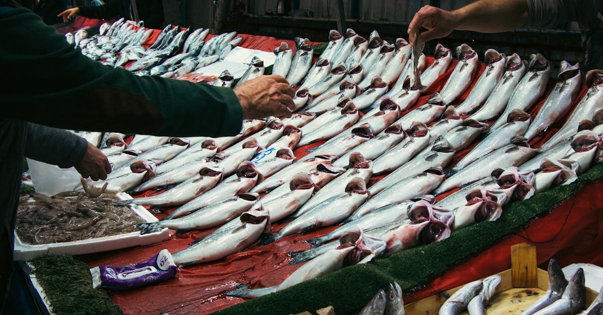 Les tendances en matière de poissons frais pour 2026