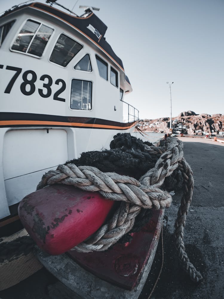 Boating Knot In Harbor