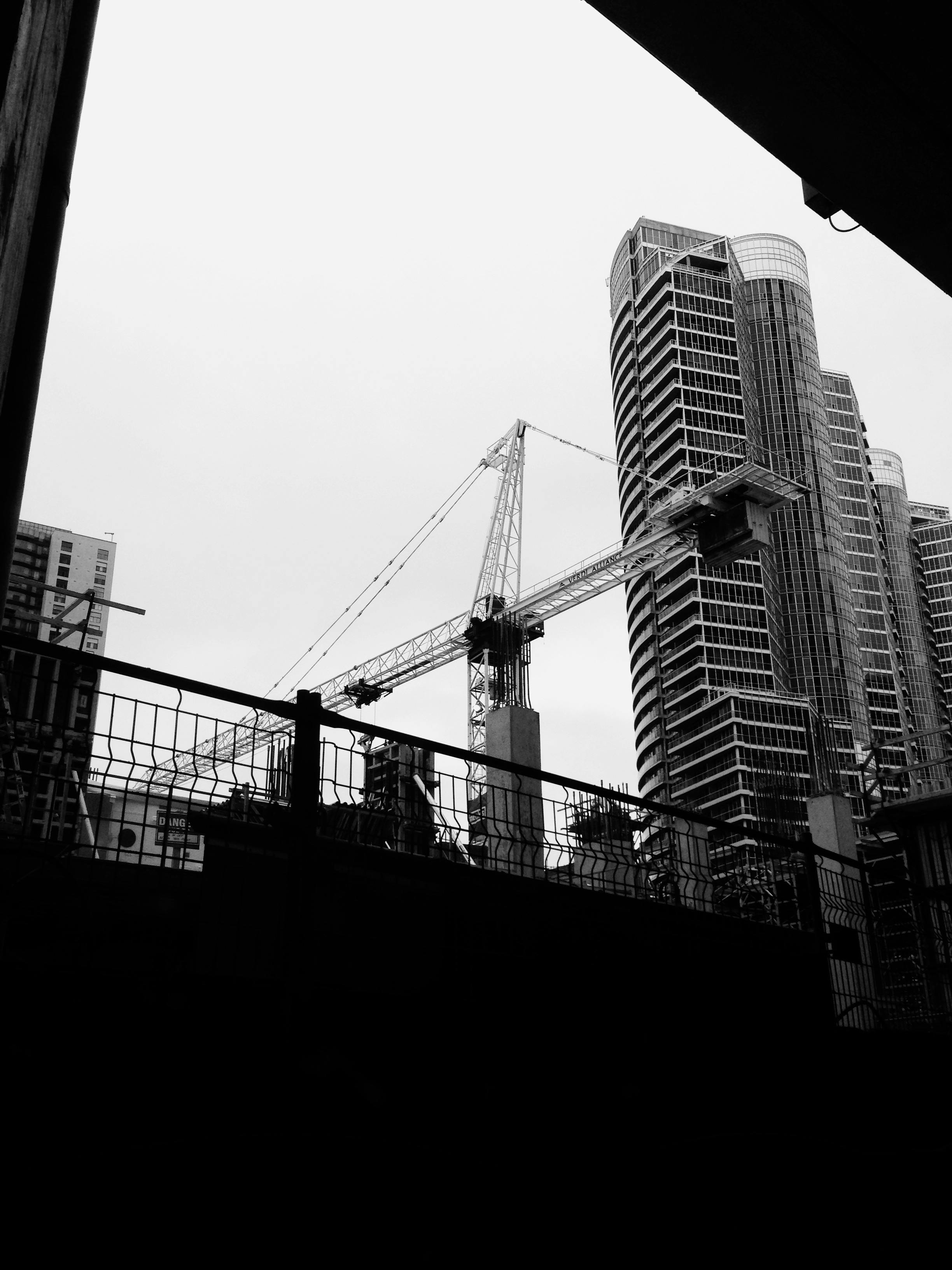 Shiitake: Fuente de Energía y Longevidad | Blog EonLifeX