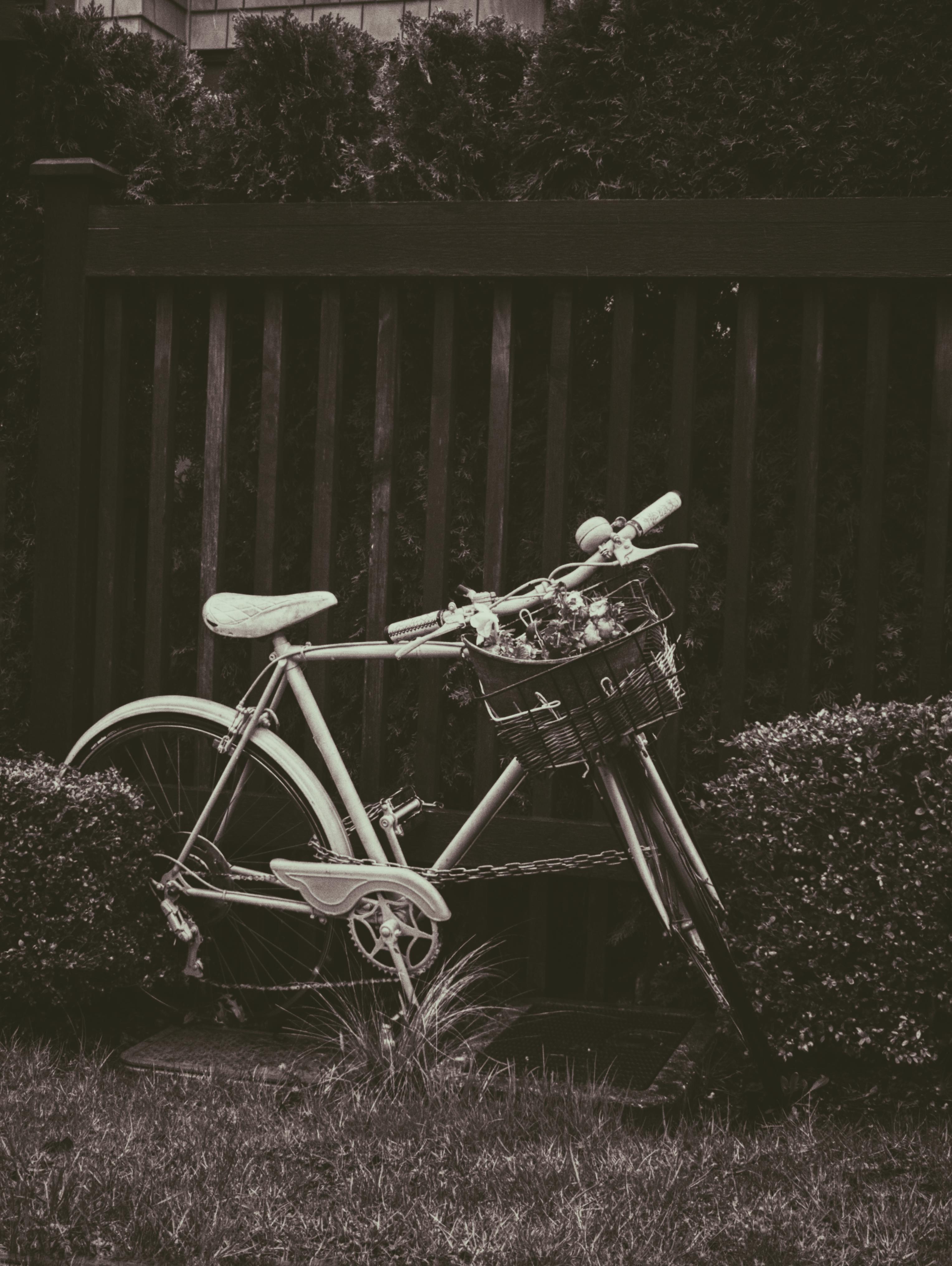 A sepia-toned photo of a vintage bicycle with a basket resting against a wooden fence in a garden.