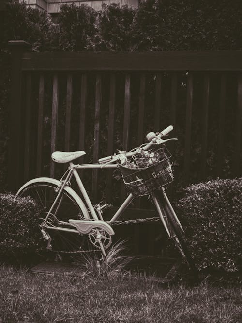 Foto d'estoc gratuïta de aparcat, bici, cistell