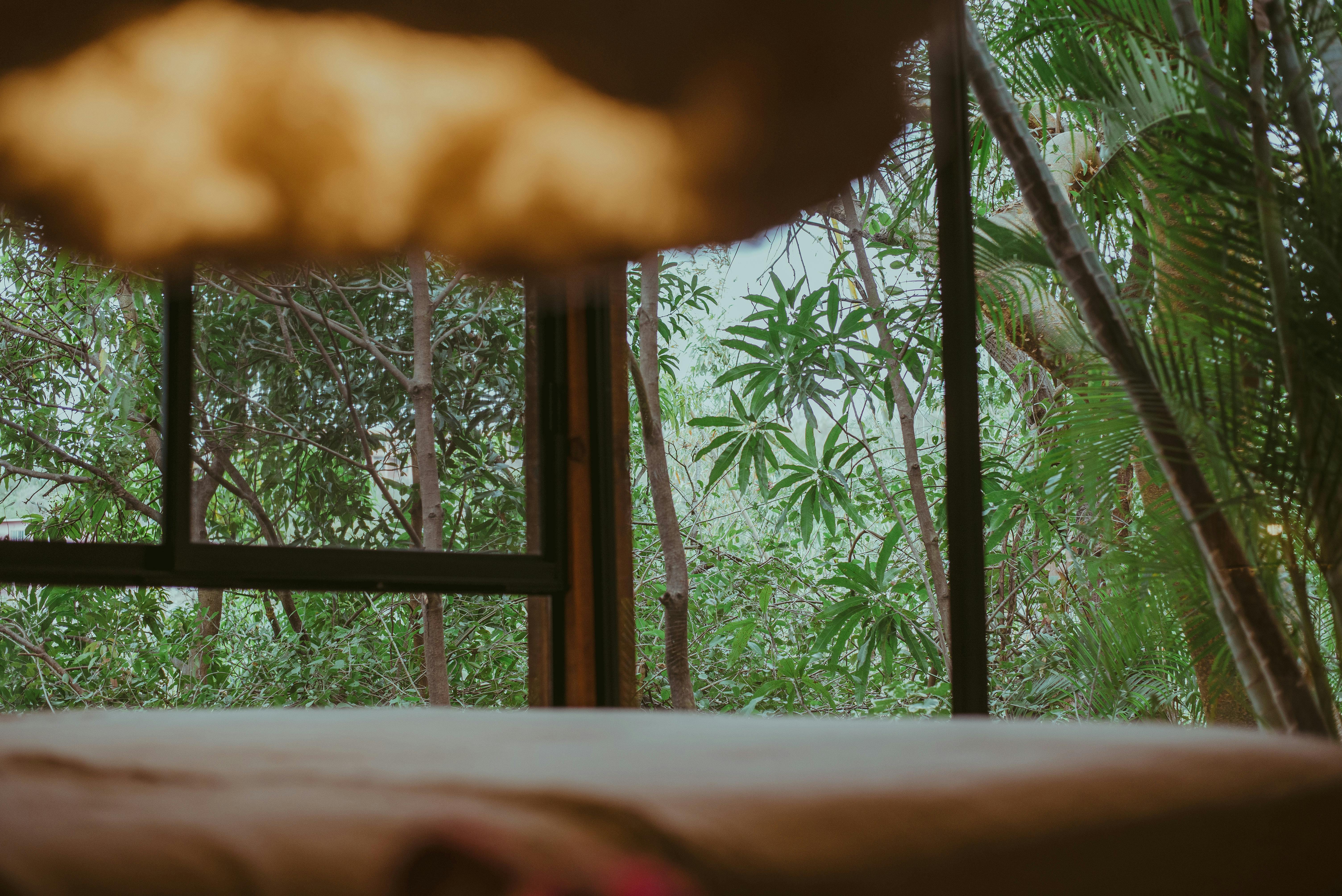 Eco-friendly hotel surrounded by greenery