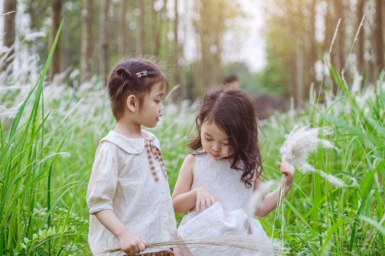 Two Little Girls On A Grass Field In Summer 