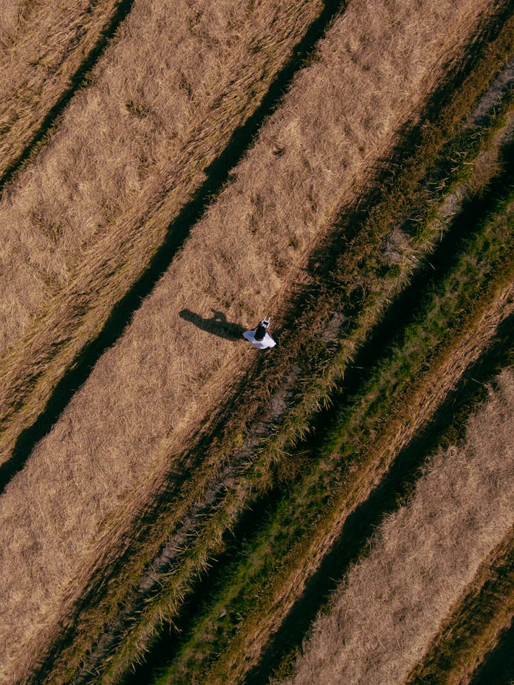 Aerial Photo Of Person Standing On Grass Field