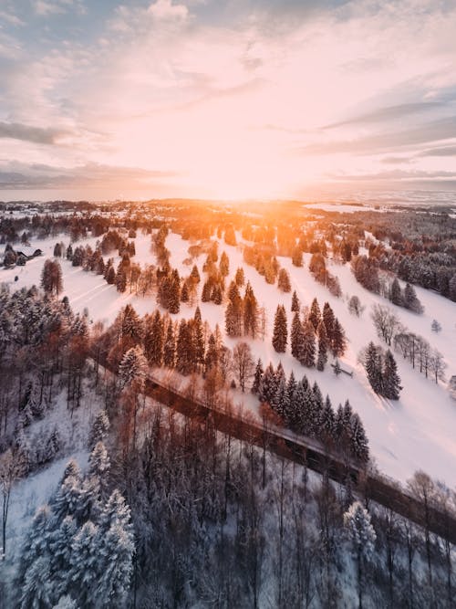 Free Empty Road and Pine Trees on Snowy Field during Golden Hour Stock Photo