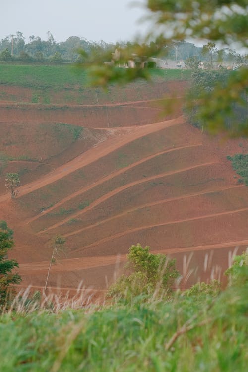 Free Terraces of Ground Stock Photo