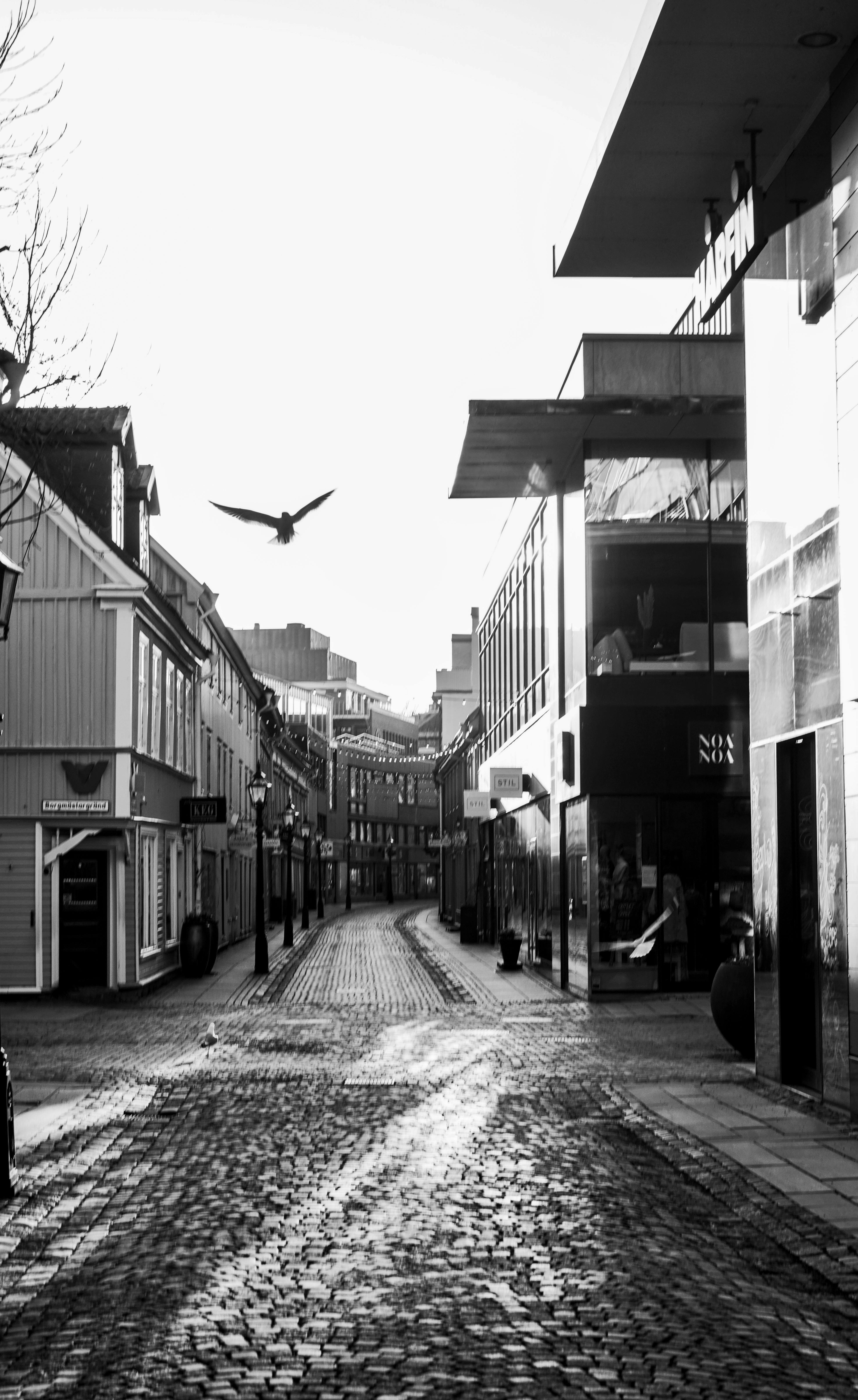 Black and white photo of an empty cobblestone street with a bird in Jönköping, Sweden.