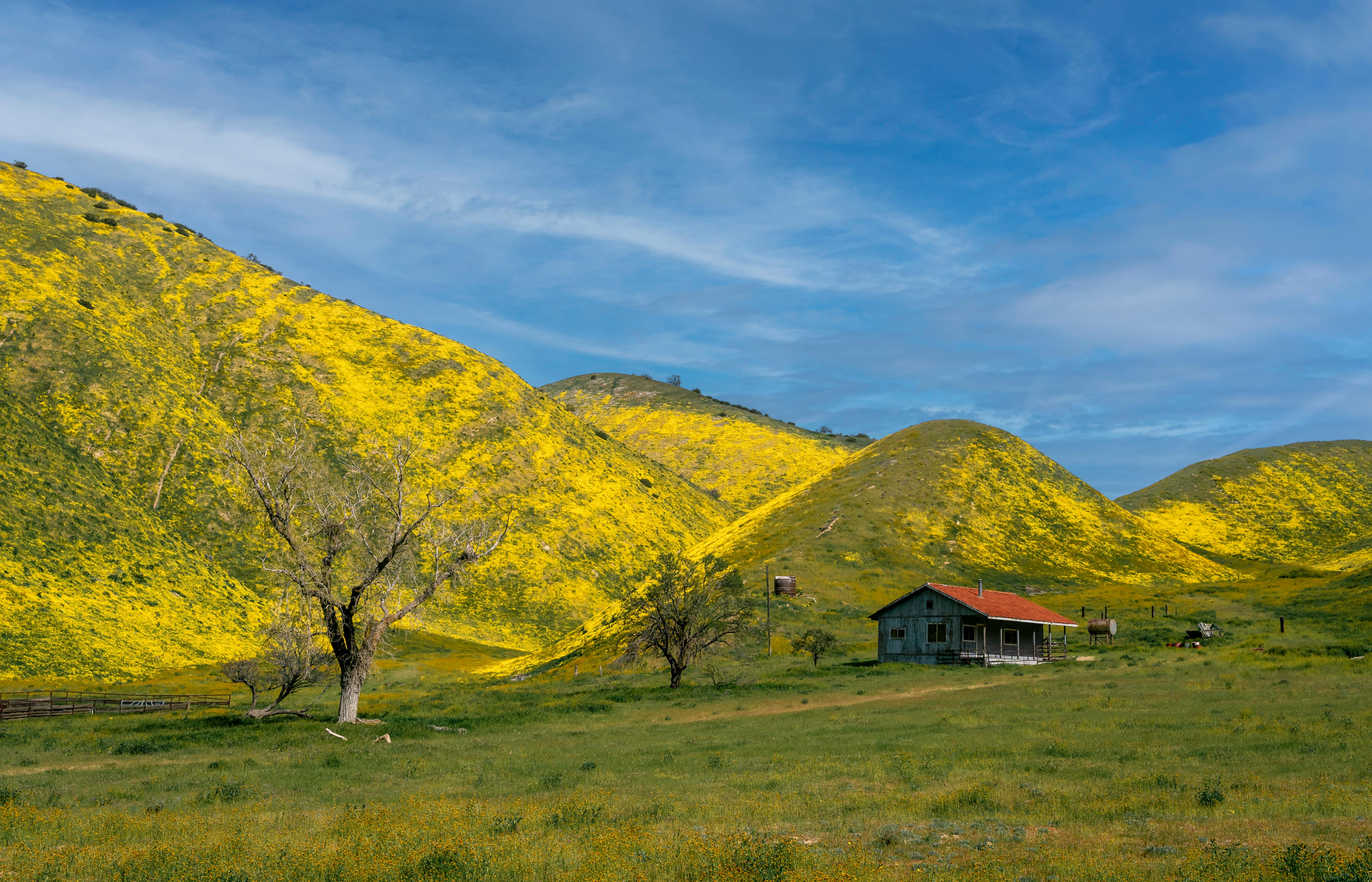 little house on the prairie