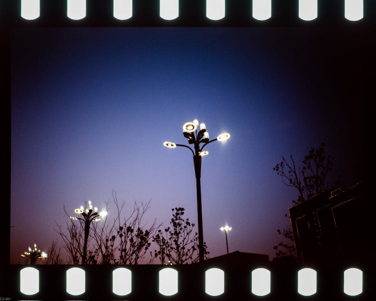 Illuminated Street Lamps At Night 