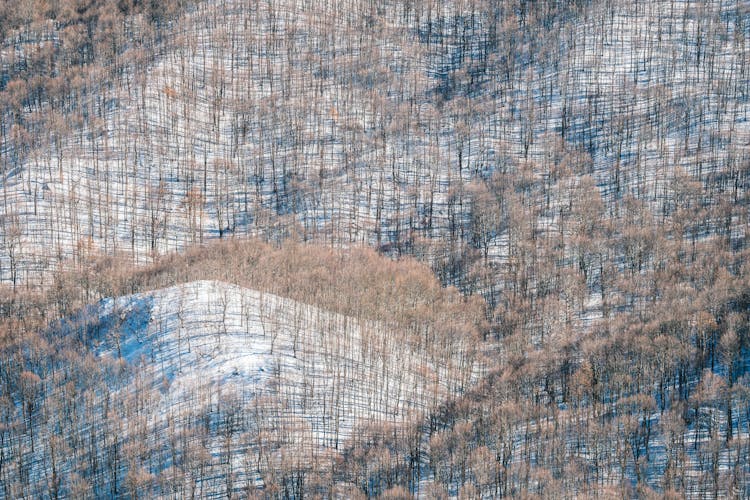 Photo Of A Mountain In Winter 