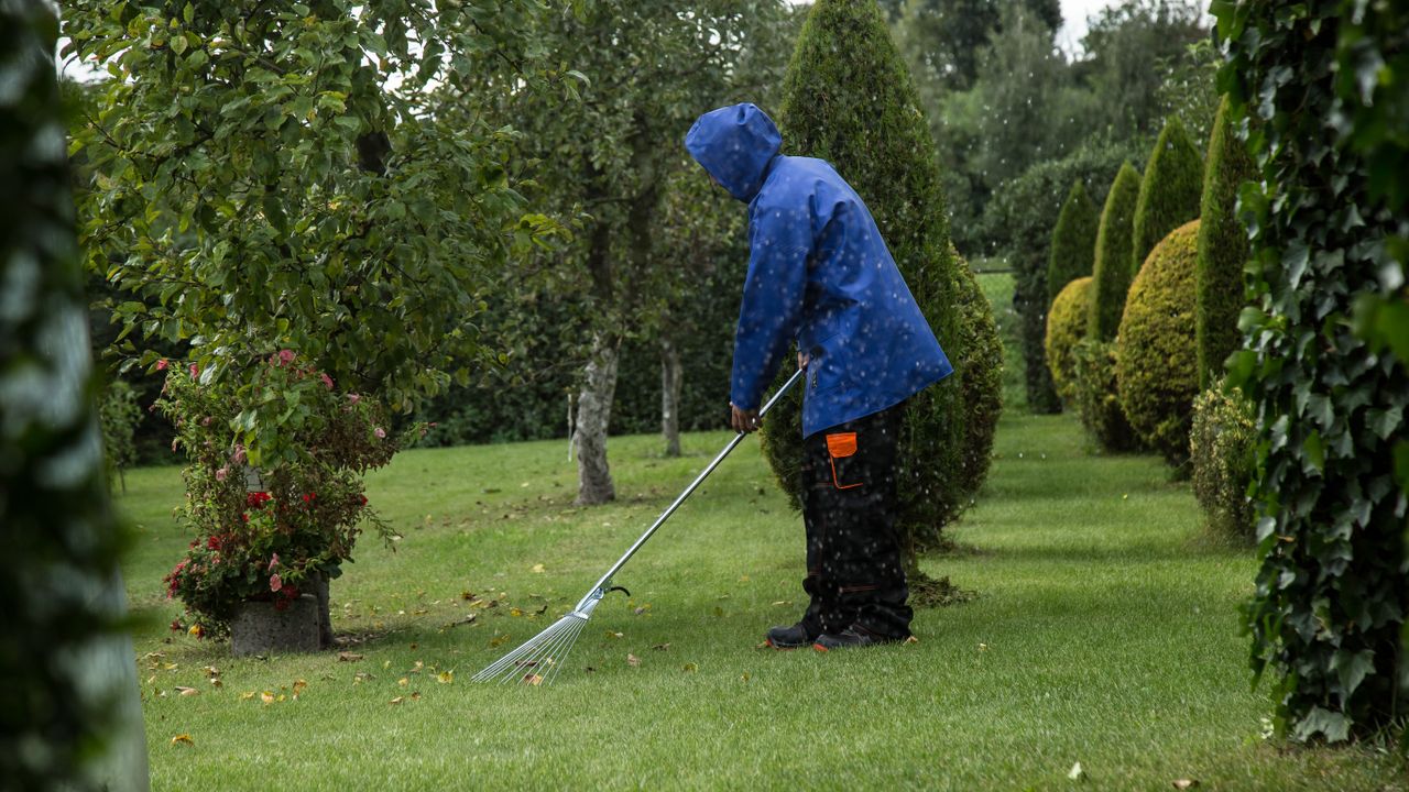 Leaf Removal — Tree Services & Landscaping, Holland MI