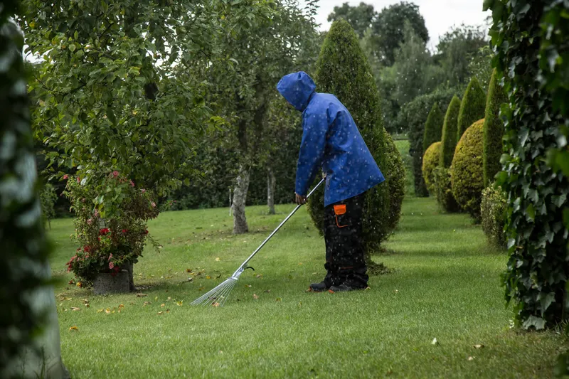 Seasonal Cleanup
