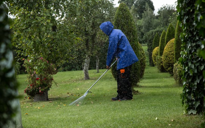 Pleje af grønne områder