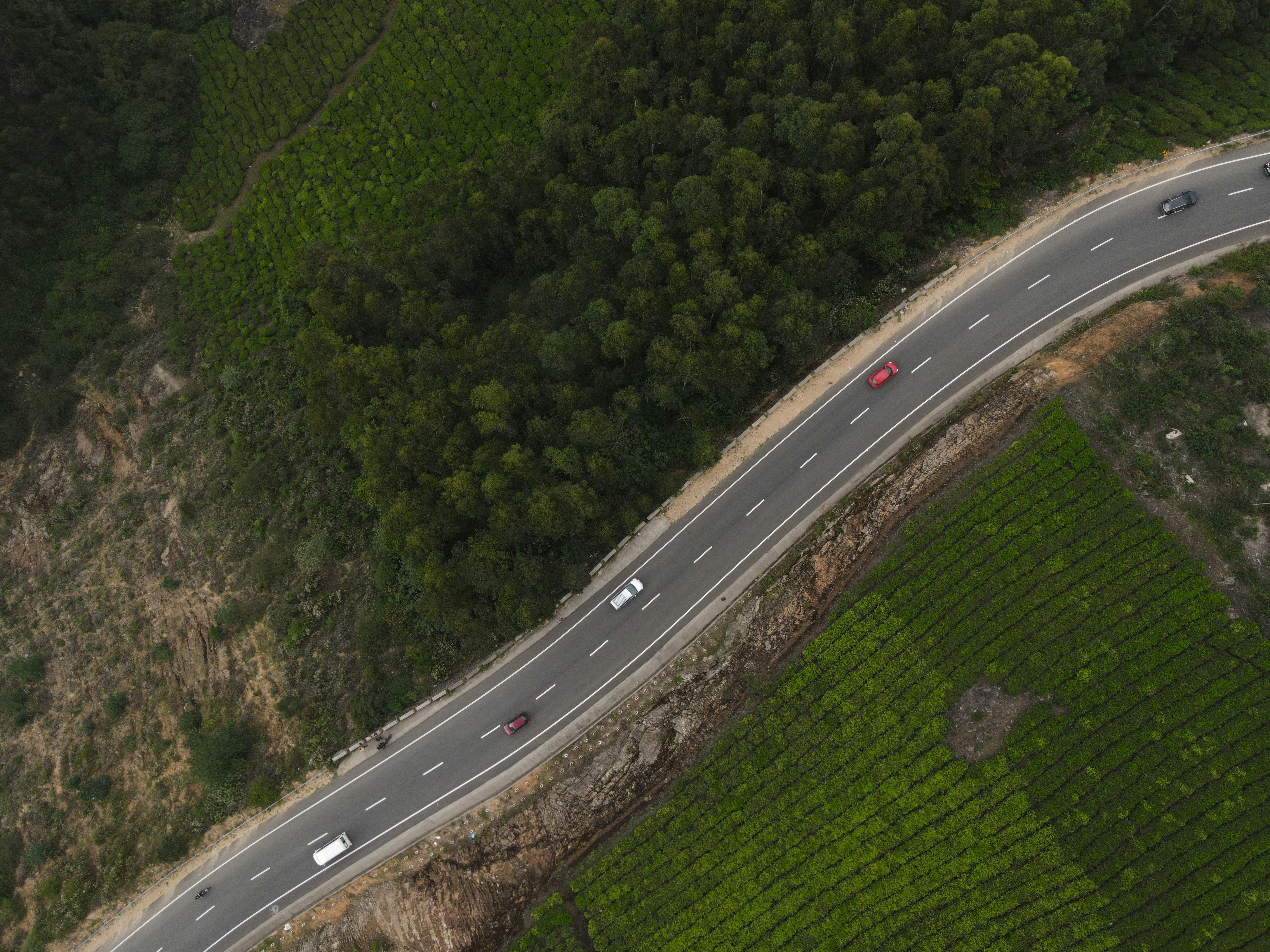 evs explained green transportation — Photo by Yogendra  Singh on Pexels