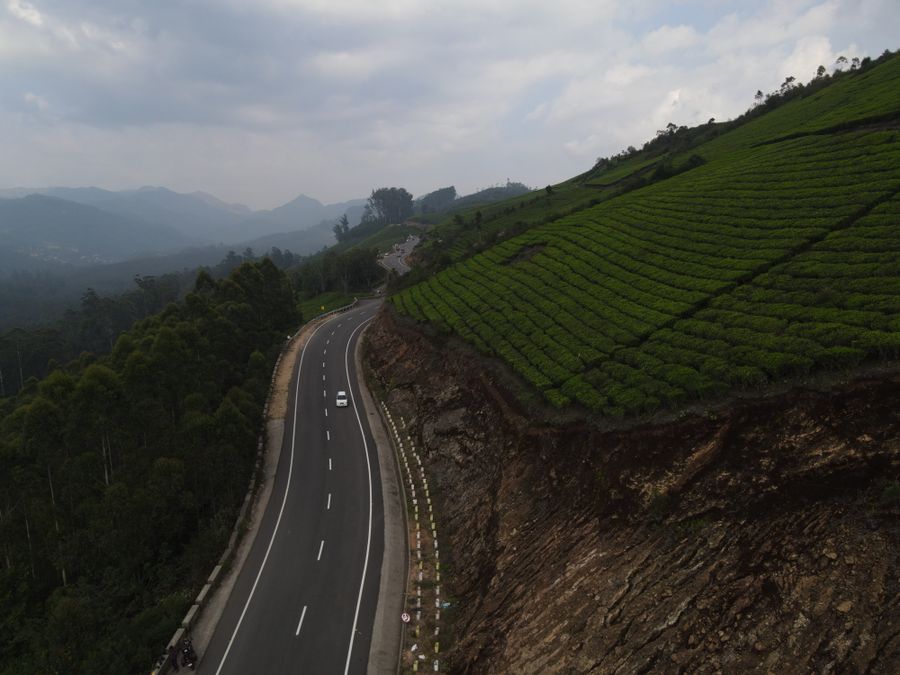 Munnar photo 6